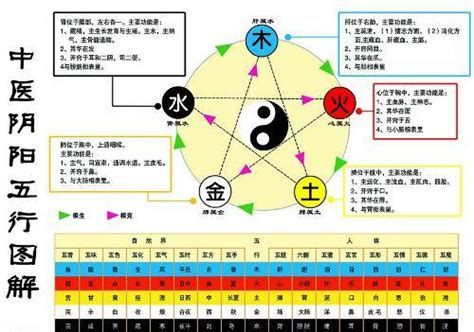 金生木 木生水|五行